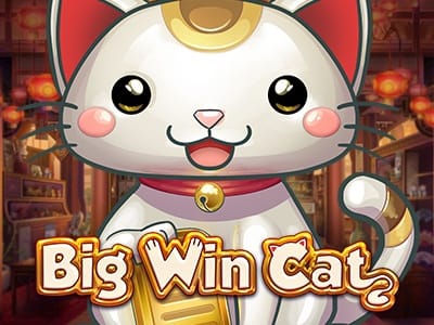 Big Win Cat